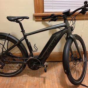 2018 Giant Quick E+ Silver, gray or bare metal