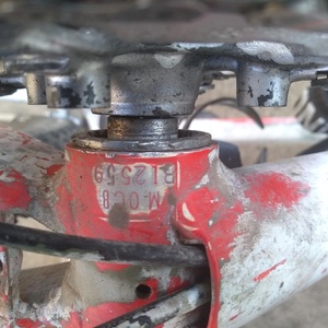 Specialized Crosstrail Silver, gray or bare metal