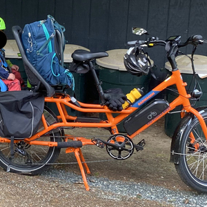 2022 Rad Power Bikes Radwagon Orange