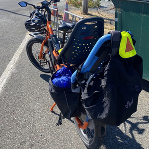 2022 Rad Power Bikes Radwagon Orange