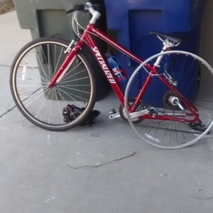 Specialized Vita Sport Red