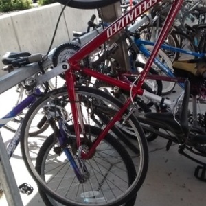 Specialized Vita Sport Red