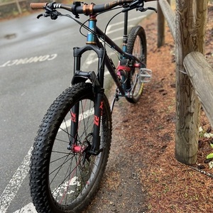 2023 Bird Forge Steel Hardtail Blue