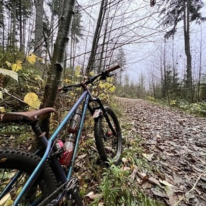 2023 Bird Forge Steel Hardtail Blue