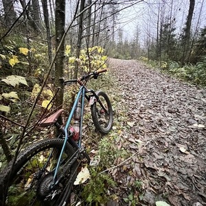 2023 Bird Forge Steel Hardtail Blue