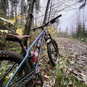 2023 Bird Forge Steel Hardtail Blue