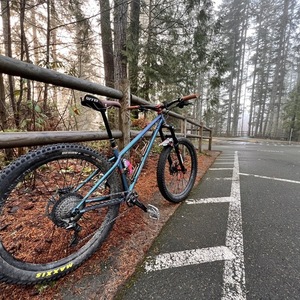 2023 Bird Forge Steel Hardtail Blue