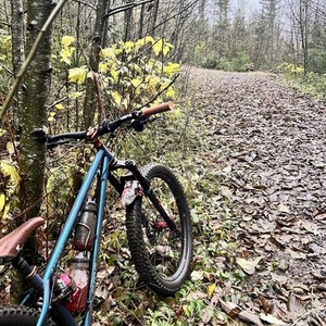 2023 Bird Forge Steel Hardtail Blue