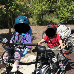 2014 Xtracycle Edgerunner cargo bike (rear storage) Black