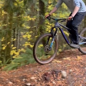 2019 Transition Bikes Patrol Silver, gray or bare metal and Blue