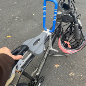 Giant Silver, gray or bare metal