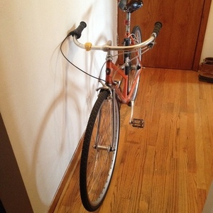 Vicini Radsport Metz Bayreuth Orange