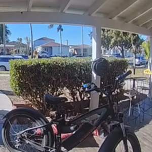 2020 Rad Power Bikes Rad Rover 5 Black