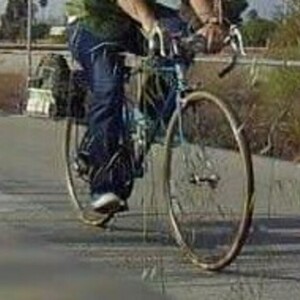 1979 Schwinn Varsity Blue