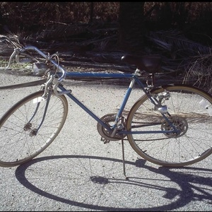 1979 Schwinn Varsity Blue