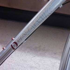 2013 Dynamic Bicycles Tempo 8 Silver or Gray