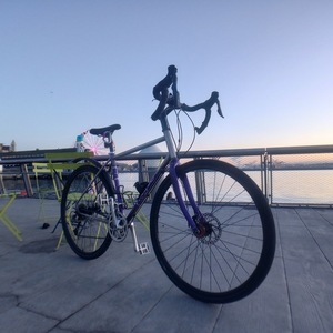 2020 Rodriguez Phinney Ridge Purple and Silver, gray or bare metal