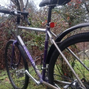 2020 Rodriguez Phinney Ridge Purple and Silver, gray or bare metal