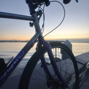 2020 Rodriguez Phinney Ridge Purple and Silver, gray or bare metal