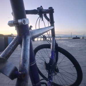 2020 Rodriguez Phinney Ridge Purple and Silver, gray or bare metal