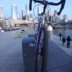 2020 Rodriguez Phinney Ridge Purple and Silver, gray or bare metal