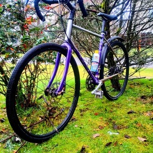 2020 Rodriguez Phinney Ridge Purple and Silver, gray or bare metal