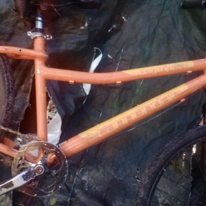 Cannondale Daytripper