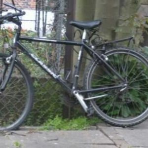 1998 Raleigh Classic Black