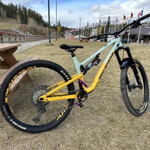 2023 Rocky Mountain Bicycles Altitude C70 Yellow or Gold