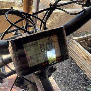 2021 Rad Power Bikes Rad Rover Black