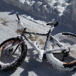 2014 Surly Moonlander Silver or Gray