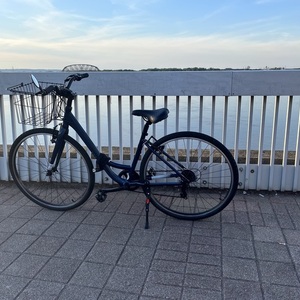 2022 Batch Bicycles Blue Batch Step True Blue