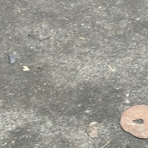 2023 Kona BIKE: Dew Plus Black