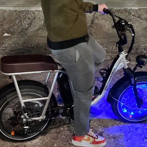 2022 Rad Power Bikes RadRunner Plus Silver, gray or bare metal, Black, and Brown