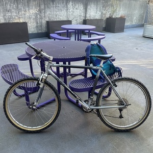 Diamondback ? Silver, gray or bare metal and Black