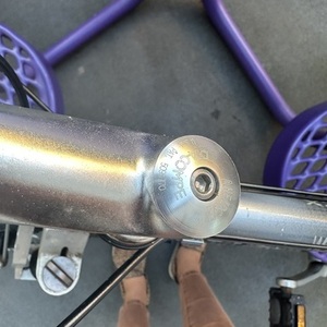 Diamondback ? Silver, gray or bare metal and Black