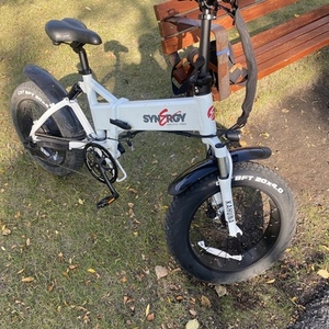 2023 Synergy Synergy White