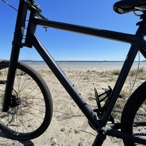 2018 Cannondale Bad Boy 1 Black