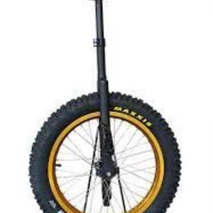 2012 Fuji Absolute 4.0 unicycle Green