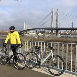 2020 Cannondale Quick Neo SL 2 Silver, gray or bare metal