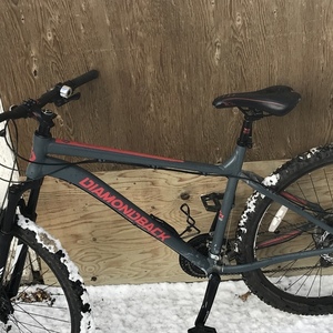 2024 Diamondback Ridgeback Silver, gray or bare metal and Red