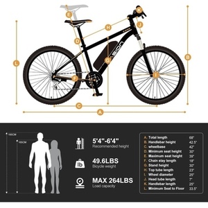 2023 Jasion EB5 Black and Orange