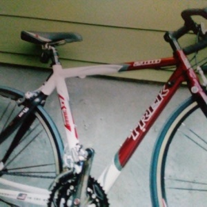 2005 Trek 2100 WSD/WOMEN'S SPEL DESIGN Red
