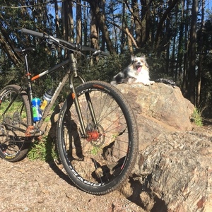 2015 Salsa El Mariachi Green and Orange