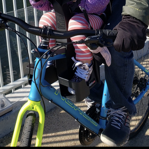 2015 Norco Bikes Indie Blue and Yellow or Gold