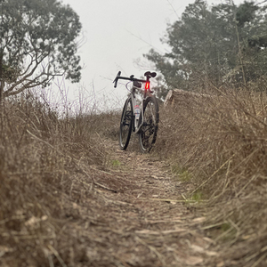2023 Cervélo Aspero Silver, gray or bare metal