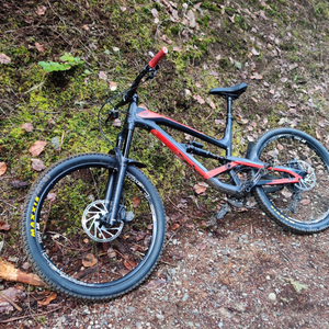 2018 YT Capra Red and Black