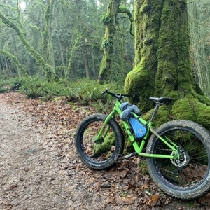 2015 Motobecane FB4 Green