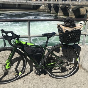 2017 Norco Bikes Tiagra Green