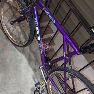 1994 GT Bicycles all GT terra "Backwoods" Purple